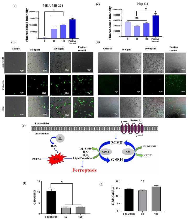 https://cdn.ncbi.nlm.nih.gov/pmc/blobs/57f2/12073876/a2f7f3fc808d/materials-18-02139-g007.jpg