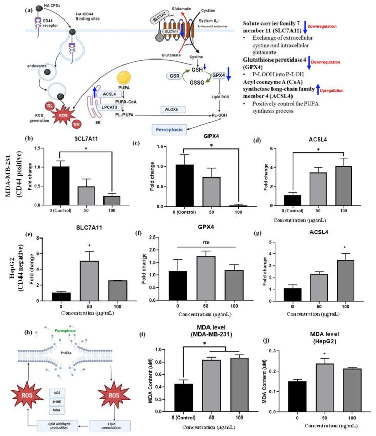 https://cdn.ncbi.nlm.nih.gov/pmc/blobs/57f2/12073876/d4eb9b6f10d8/materials-18-02139-g008.jpg