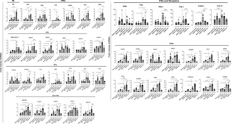https://cdn.ncbi.nlm.nih.gov/pmc/blobs/57f2/12206634/8abe50e7d7d8/fimmu-16-1584785-g008.jpg