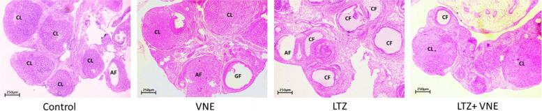 https://cdn.ncbi.nlm.nih.gov/pmc/blobs/57f4/11000293/56ed37b339a3/13048_2024_1378_Fig7_HTML.jpg