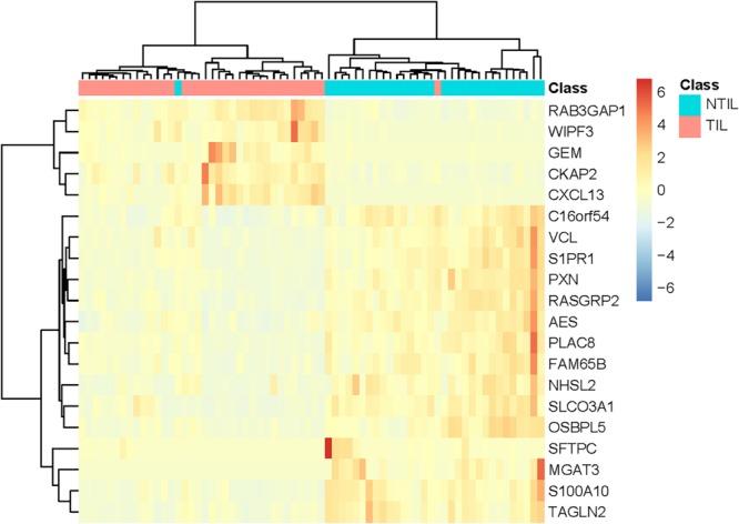 https://cdn.ncbi.nlm.nih.gov/pmc/blobs/57f4/7227791/324572f05580/fgene-11-00352-g002.jpg