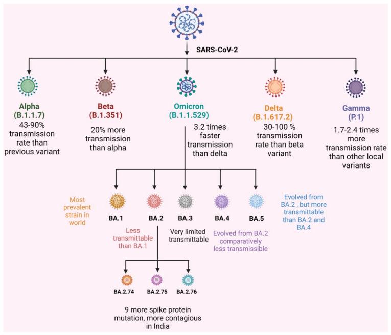 https://cdn.ncbi.nlm.nih.gov/pmc/blobs/57f4/9860853/2dabad91fae0/vaccines-11-00160-g001.jpg