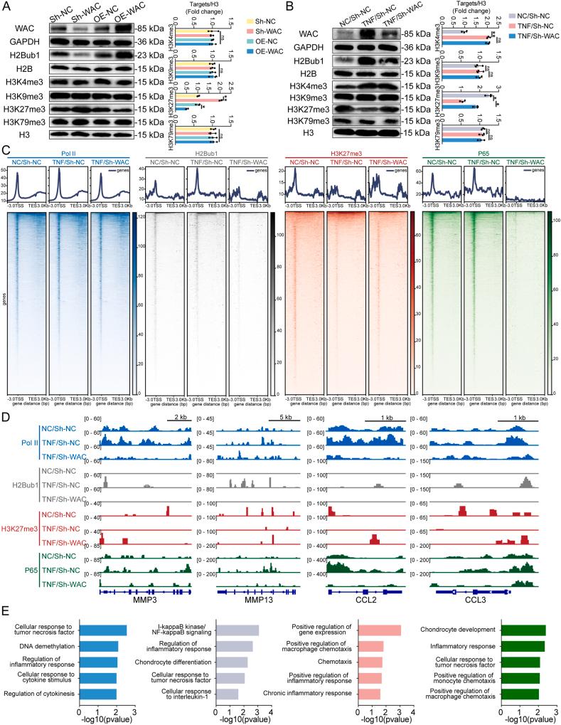 https://cdn.ncbi.nlm.nih.gov/pmc/blobs/57f6/12399200/6d373280810e/gr3.jpg