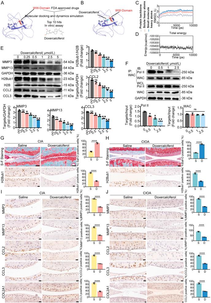 https://cdn.ncbi.nlm.nih.gov/pmc/blobs/57f6/12399200/6e41cf32c8be/gr6.jpg