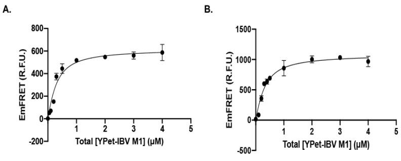 https://cdn.ncbi.nlm.nih.gov/pmc/blobs/57f6/8876058/98da19a4b9f4/viruses-14-00314-g004.jpg