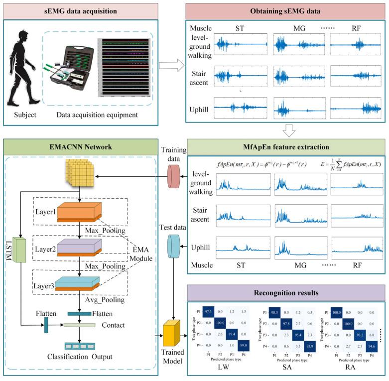https://cdn.ncbi.nlm.nih.gov/pmc/blobs/57f7/12109951/15f912921992/biosensors-15-00305-g004.jpg