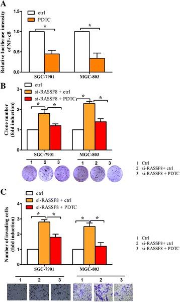 https://cdn.ncbi.nlm.nih.gov/pmc/blobs/57f8/5297251/dc119c75011d/12943_2017_603_Fig7_HTML.jpg