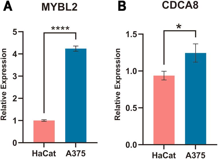 https://cdn.ncbi.nlm.nih.gov/pmc/blobs/57fc/11219495/e1b9ea79f56f/gr1.jpg