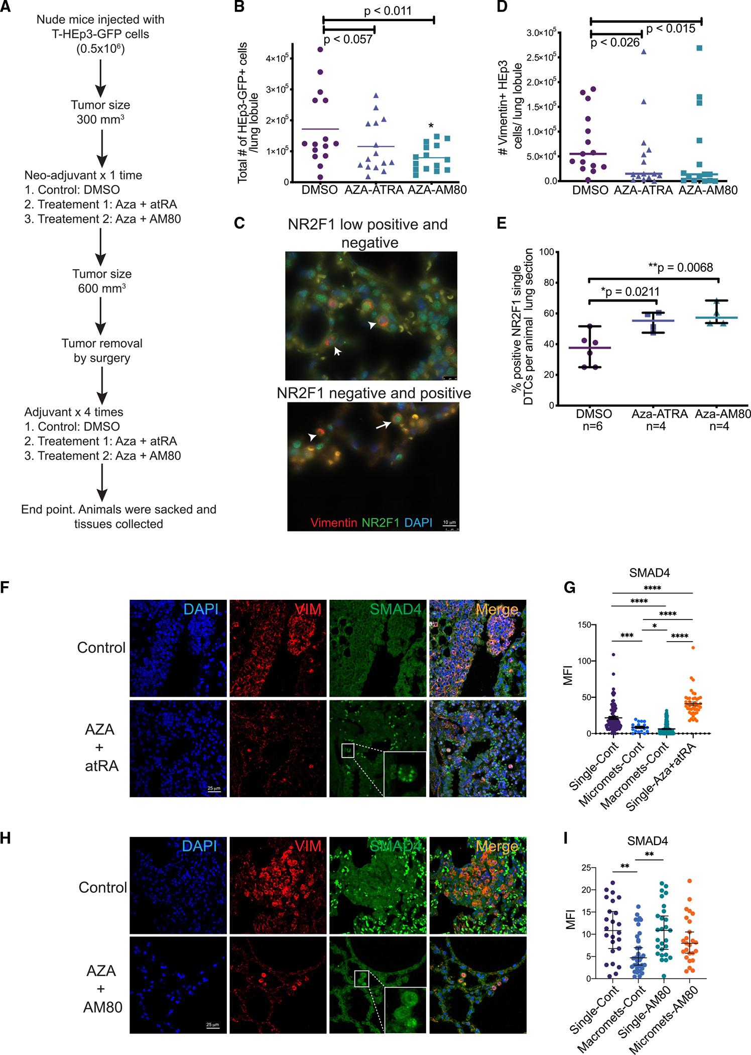 https://cdn.ncbi.nlm.nih.gov/pmc/blobs/57fd/10592471/abe51484140d/nihms-1912771-f0005.jpg