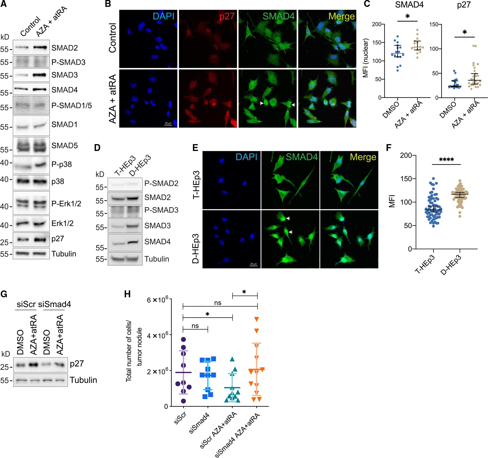 https://cdn.ncbi.nlm.nih.gov/pmc/blobs/57fd/10592471/dbcf1a411931/nihms-1912771-f0004.jpg