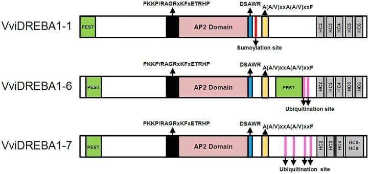 https://cdn.ncbi.nlm.nih.gov/pmc/blobs/57fd/5609105/8bb387ec81fc/fpls-08-01591-g001.jpg