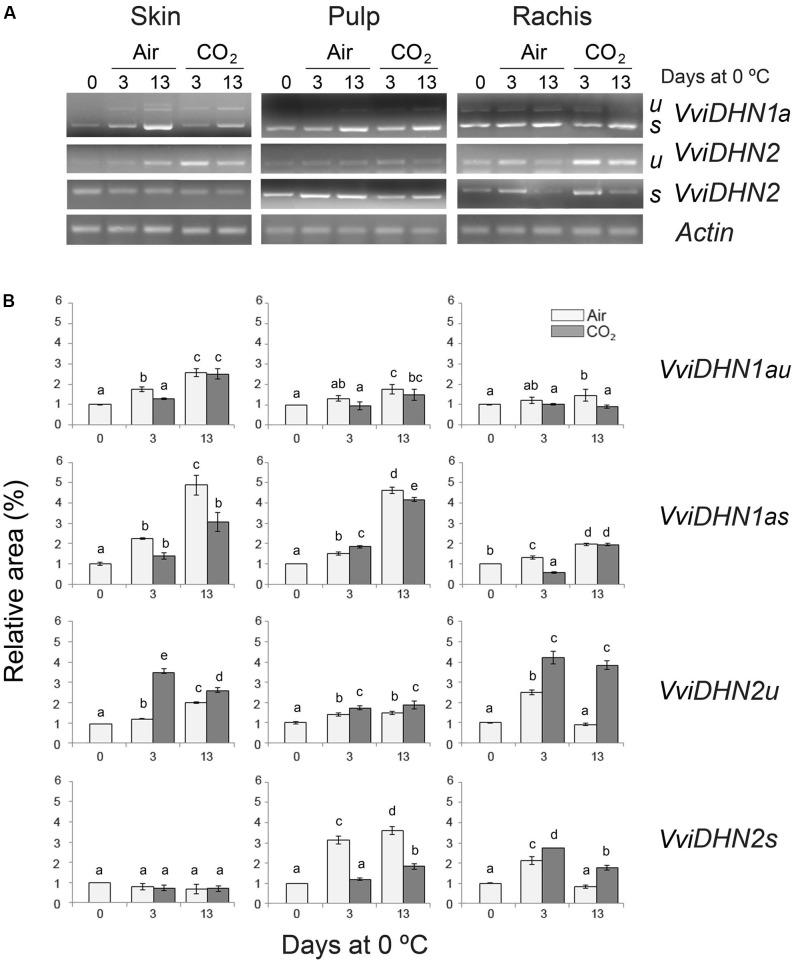 https://cdn.ncbi.nlm.nih.gov/pmc/blobs/57fd/5609105/9e98e2078ee0/fpls-08-01591-g003.jpg