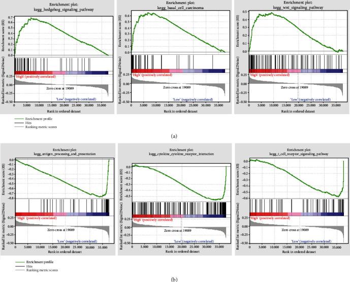 https://cdn.ncbi.nlm.nih.gov/pmc/blobs/57fd/8110384/c4e6e2ada768/BMRI2021-6680036.005.jpg