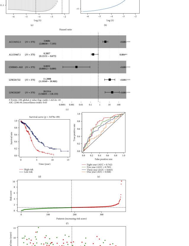 https://cdn.ncbi.nlm.nih.gov/pmc/blobs/57fd/8110384/e4aa8bbc063d/BMRI2021-6680036.003.jpg