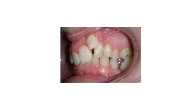 https://cdn.ncbi.nlm.nih.gov/pmc/blobs/5801/10557111/d7efa2369448/ASC_57(3)_256-264-f1.jpg