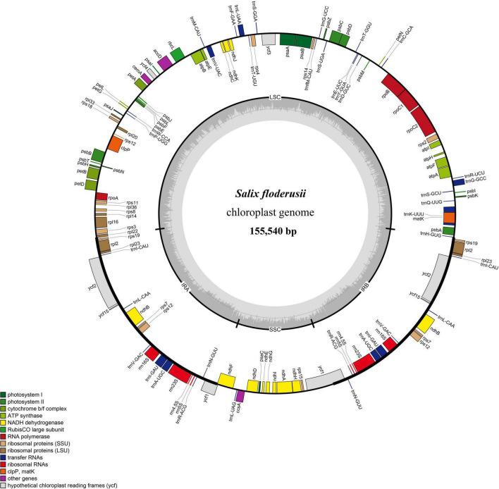 https://cdn.ncbi.nlm.nih.gov/pmc/blobs/5801/9459086/9acf92e13ac2/fpls-13-987443-g001.jpg