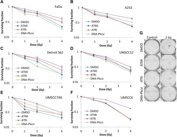 https://cdn.ncbi.nlm.nih.gov/pmc/blobs/5802/11169544/43ba7a8d6258/41420_2024_2059_Fig1_HTML.jpg