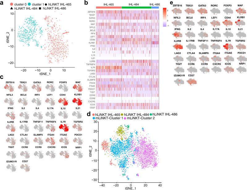 https://cdn.ncbi.nlm.nih.gov/pmc/blobs/5803/9174212/196b27103f57/41467_2022_30759_Fig5_HTML.jpg