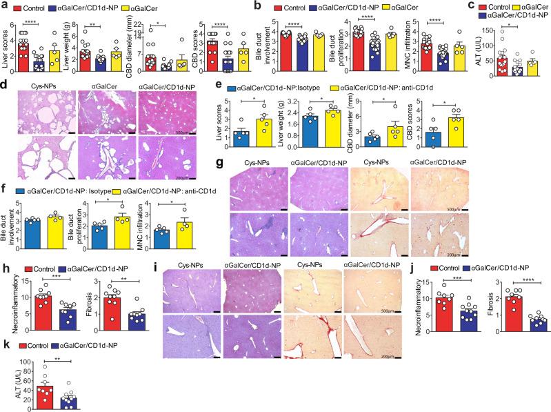 https://cdn.ncbi.nlm.nih.gov/pmc/blobs/5803/9174212/a07f6f3177cd/41467_2022_30759_Fig1_HTML.jpg