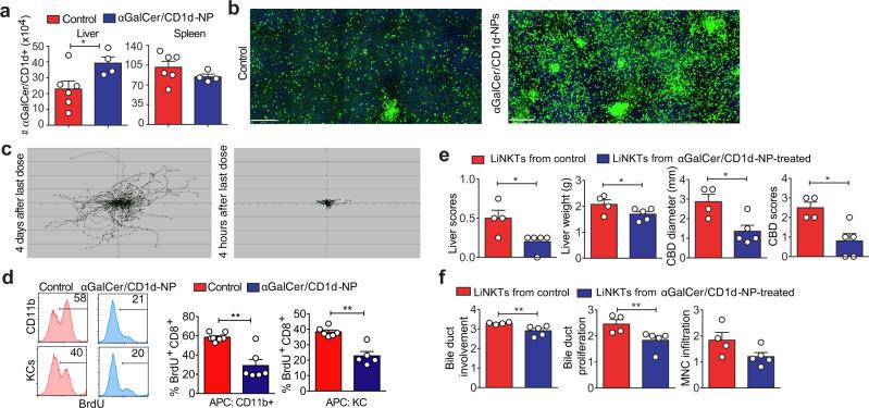 https://cdn.ncbi.nlm.nih.gov/pmc/blobs/5803/9174212/b736ab5d2ca2/41467_2022_30759_Fig2_HTML.jpg
