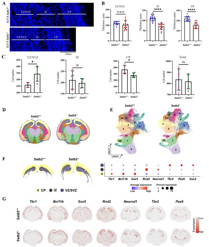 https://cdn.ncbi.nlm.nih.gov/pmc/blobs/5805/11297773/6224f3140429/12864_2024_10672_Fig2_HTML.jpg