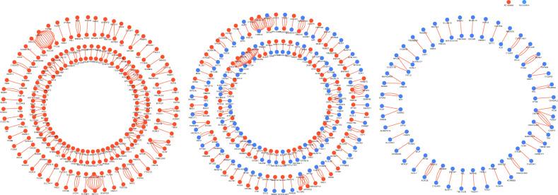 https://cdn.ncbi.nlm.nih.gov/pmc/blobs/5808/10874417/9b508e73166a/41598_2024_54541_Fig2_HTML.jpg