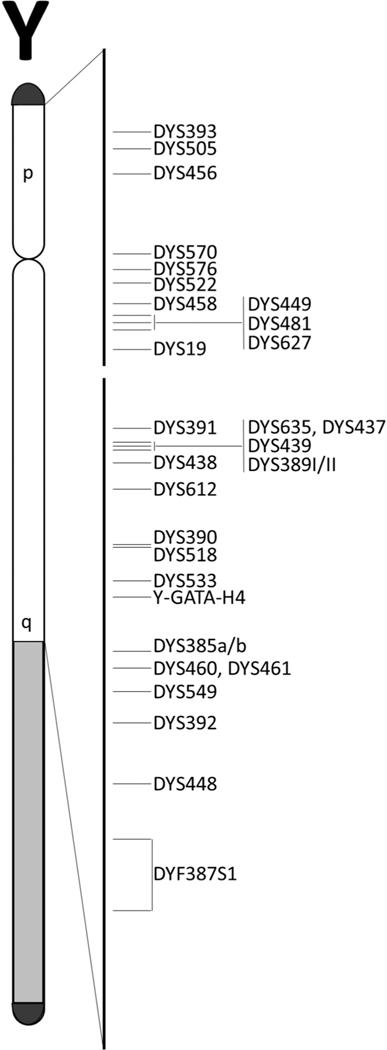 https://cdn.ncbi.nlm.nih.gov/pmc/blobs/5808/9901497/3cabb4687c80/nihms-1856350-f0001.jpg