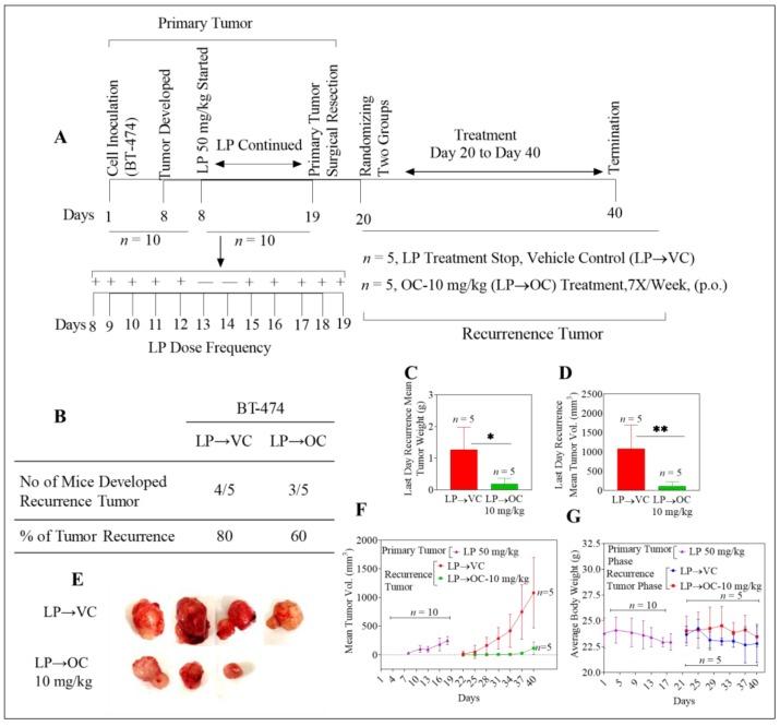 https://cdn.ncbi.nlm.nih.gov/pmc/blobs/580c/6562541/f0beb7b67b93/cancers-11-00637-g003.jpg