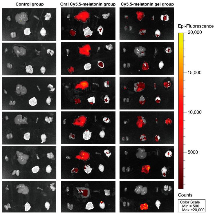 https://cdn.ncbi.nlm.nih.gov/pmc/blobs/580e/12191773/d384ba5a1a88/gels-11-00435-g008.jpg