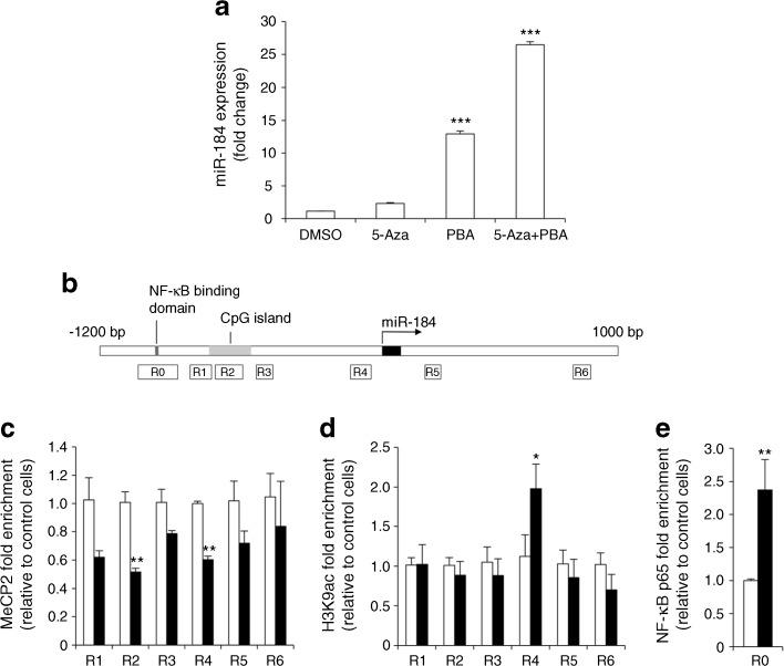 https://cdn.ncbi.nlm.nih.gov/pmc/blobs/580f/5423990/30cb9a09fdd1/125_2017_4248_Fig7_HTML.jpg