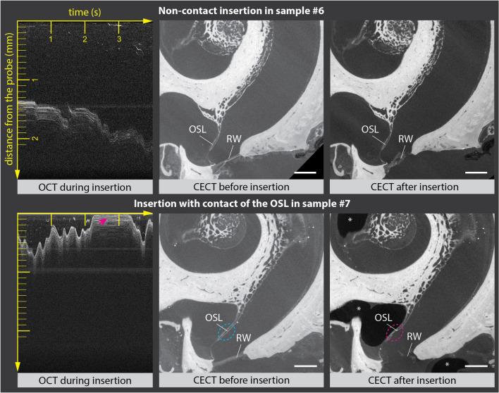 https://cdn.ncbi.nlm.nih.gov/pmc/blobs/580f/9649659/b0ce7a2c8547/41598_2022_23653_Fig4_HTML.jpg