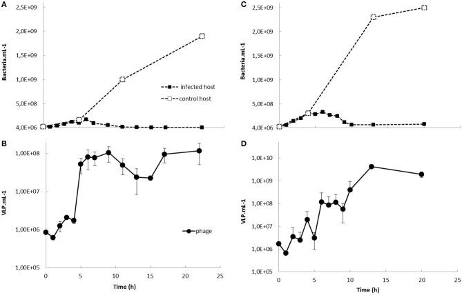 https://cdn.ncbi.nlm.nih.gov/pmc/blobs/5810/6207643/50d7bf01aa05/fmicb-09-02501-g0002.jpg