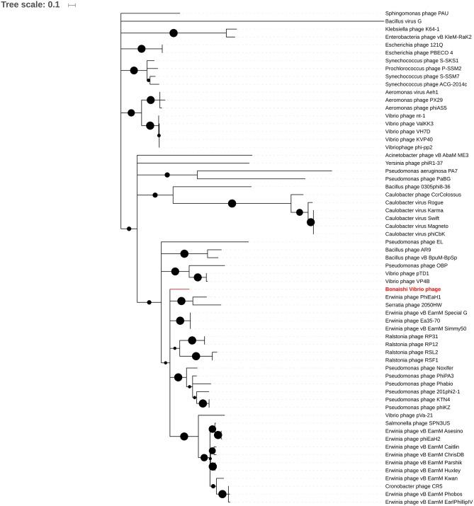 https://cdn.ncbi.nlm.nih.gov/pmc/blobs/5810/6207643/f44a2bd42751/fmicb-09-02501-g0004.jpg