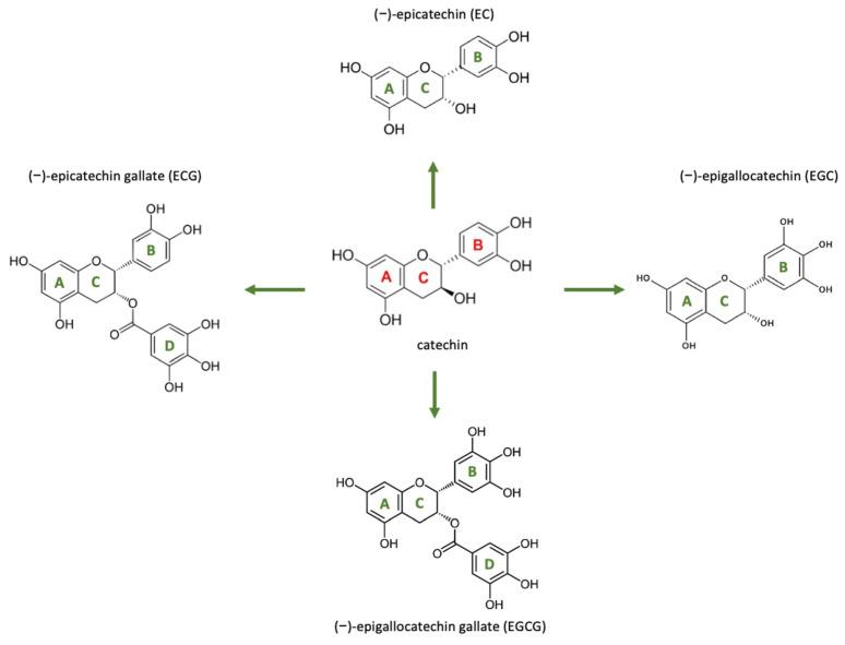 https://cdn.ncbi.nlm.nih.gov/pmc/blobs/5812/12196728/68e9fc7dff42/pharmaceutics-17-00758-g007.jpg
