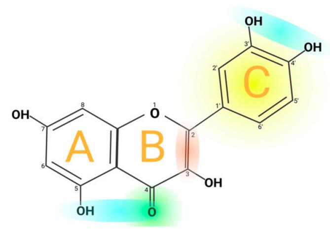 https://cdn.ncbi.nlm.nih.gov/pmc/blobs/5812/12196728/c49e8aa40f48/pharmaceutics-17-00758-g005.jpg
