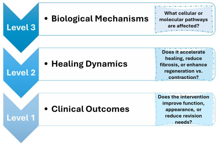https://cdn.ncbi.nlm.nih.gov/pmc/blobs/5812/12196728/c8718afed3fe/pharmaceutics-17-00758-g002.jpg