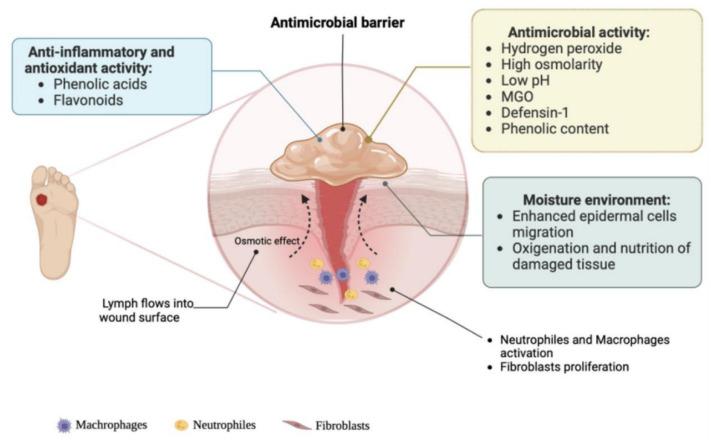 https://cdn.ncbi.nlm.nih.gov/pmc/blobs/5812/12196728/e435ae7ad043/pharmaceutics-17-00758-g004.jpg