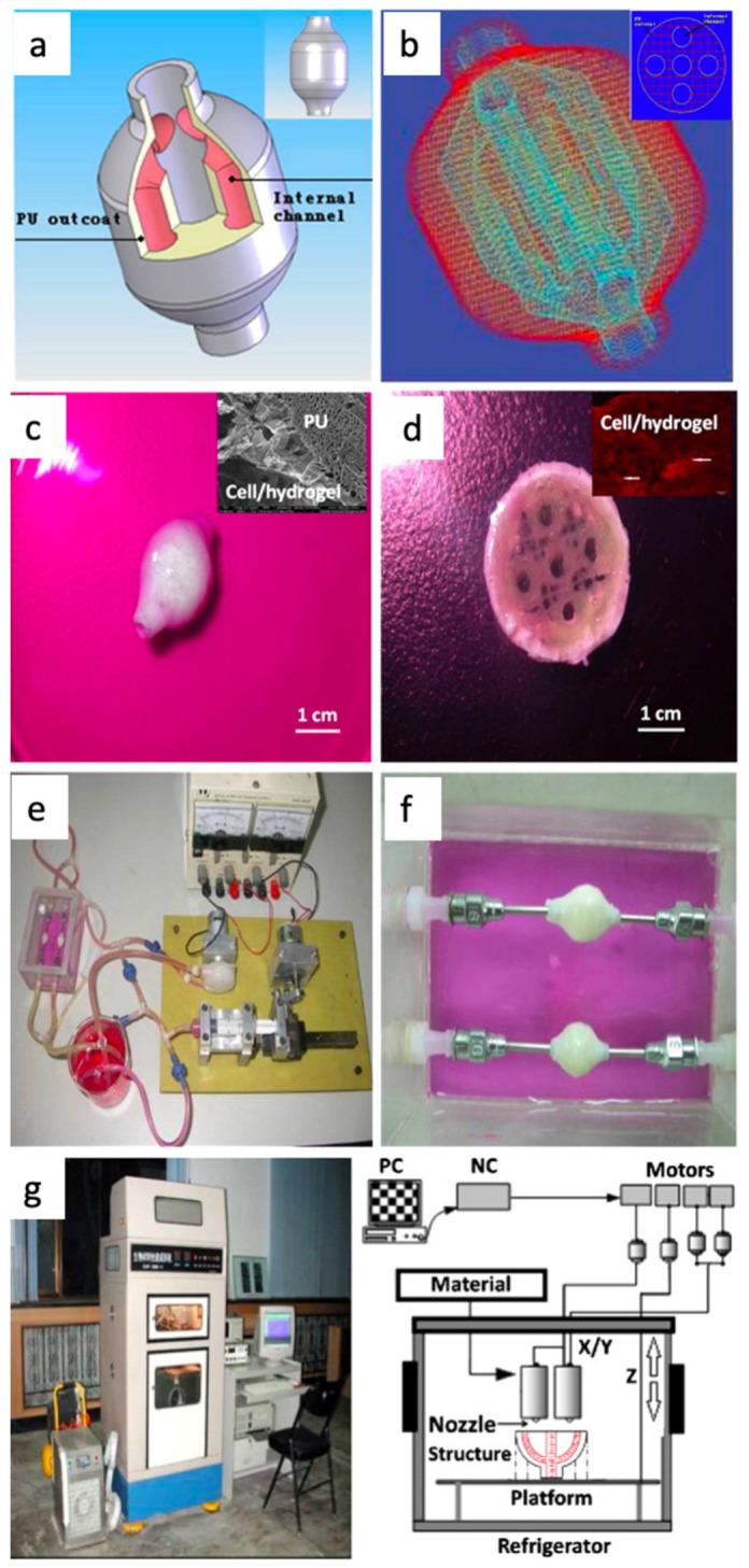 https://cdn.ncbi.nlm.nih.gov/pmc/blobs/5812/8585351/2f466fa39ca8/materials-14-06442-g014.jpg