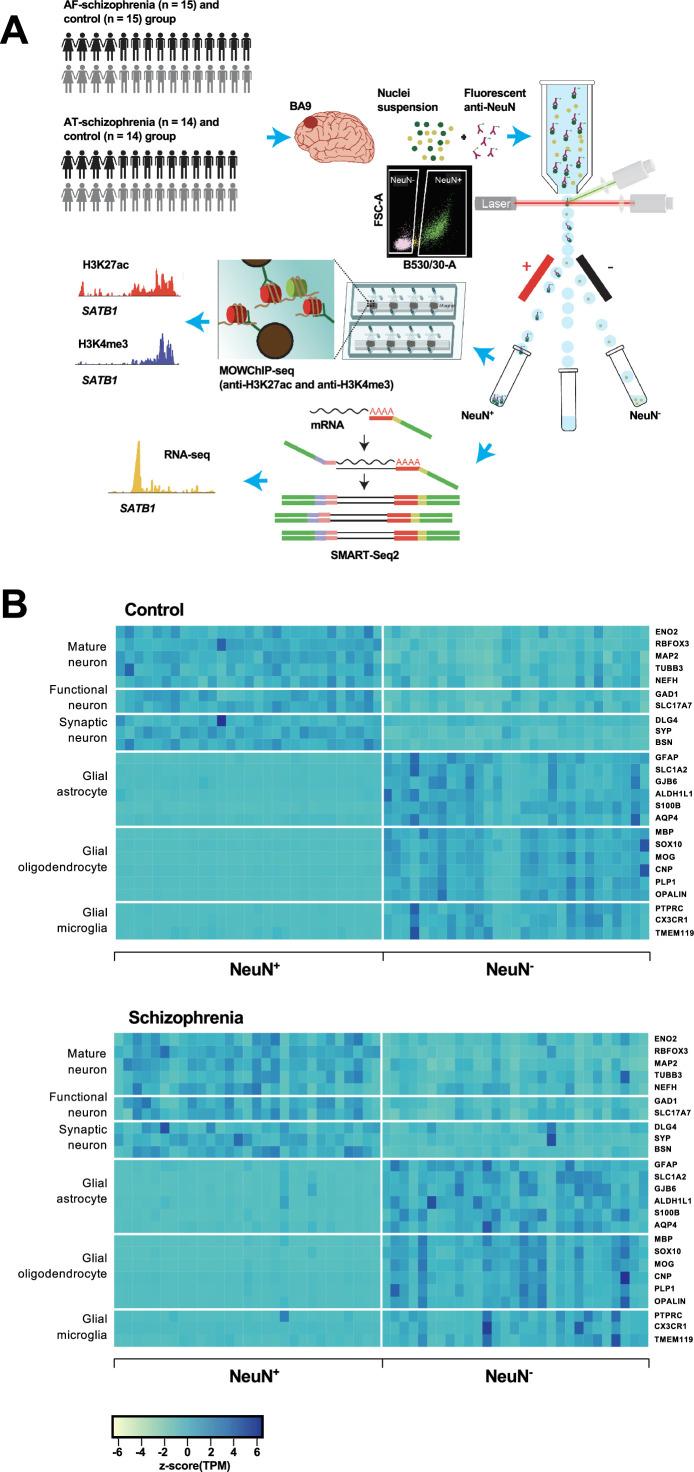 https://cdn.ncbi.nlm.nih.gov/pmc/blobs/5813/11034945/7de03ba7ed3c/elife-92393-fig1.jpg