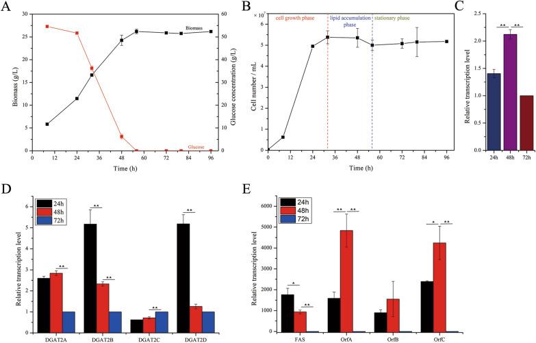 https://cdn.ncbi.nlm.nih.gov/pmc/blobs/5814/10523756/77dc2ef0fe7d/13068_2023_2396_Fig2_HTML.jpg