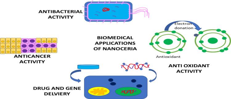 https://cdn.ncbi.nlm.nih.gov/pmc/blobs/5815/11184228/106afe8d2e7f/IJN-19-5813-g0005.jpg