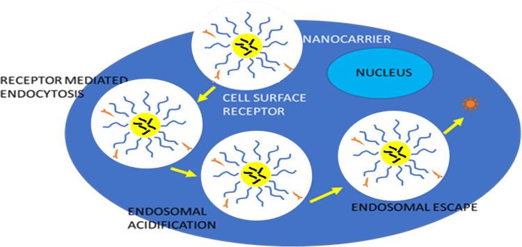 https://cdn.ncbi.nlm.nih.gov/pmc/blobs/5815/11184228/6fb03bdd466f/IJN-19-5813-g0007.jpg