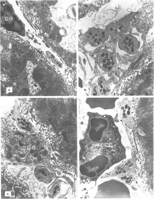 https://cdn.ncbi.nlm.nih.gov/pmc/blobs/5815/1908432/72da696c427c/brjpharm00226-0119-a.jpg