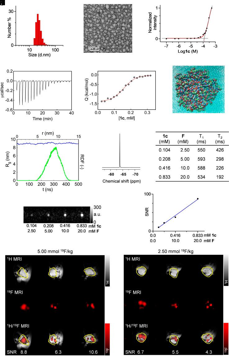 https://cdn.ncbi.nlm.nih.gov/pmc/blobs/5816/11194563/5819e131476d/pnas.2322403121fig04.jpg