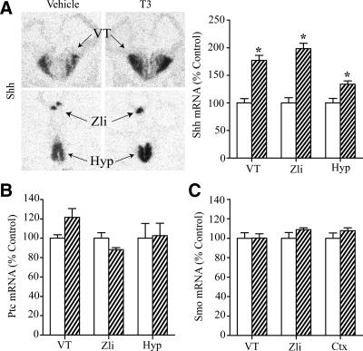 https://cdn.ncbi.nlm.nih.gov/pmc/blobs/5817/3179409/5639801cf4fb/zee0051159020002.jpg