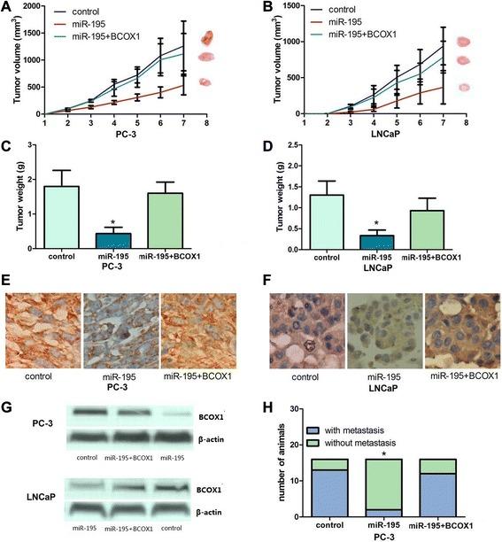 https://cdn.ncbi.nlm.nih.gov/pmc/blobs/5817/4559360/2b3354c2a712/13046_2015_209_Fig4_HTML.jpg