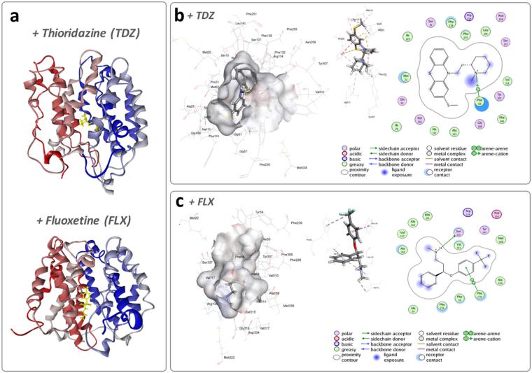 https://cdn.ncbi.nlm.nih.gov/pmc/blobs/5818/5610337/24b27e2b2789/41598_2017_12445_Fig2_HTML.jpg