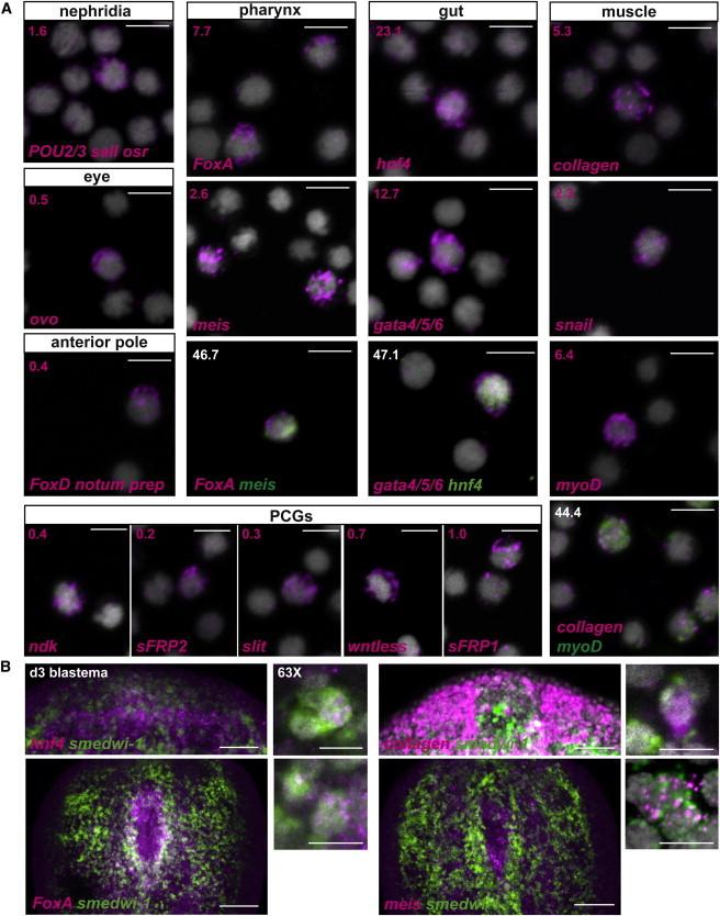 https://cdn.ncbi.nlm.nih.gov/pmc/blobs/5819/4176530/87d399434e19/gr2.jpg