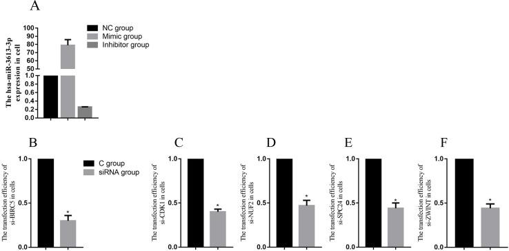 https://cdn.ncbi.nlm.nih.gov/pmc/blobs/5819/5696240/af91c30b1027/oncotarget-08-93014-g005.jpg