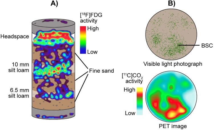 https://cdn.ncbi.nlm.nih.gov/pmc/blobs/5819/7605056/0d9b466abdec/10.1177_1536012120966405-fig10.jpg